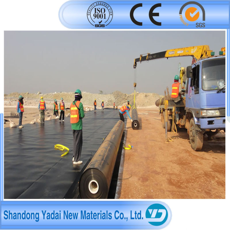 1.5mm HDPE Geomembrane Liner for Prawn Farms