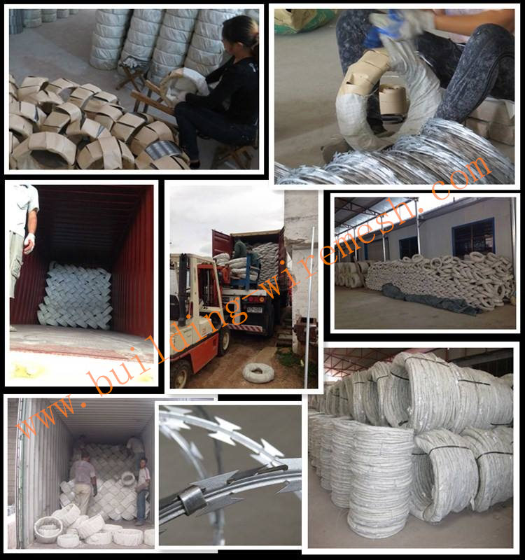 Factory Razor Blade Barbed Wirehot Dipped Galvanized Razor Wire