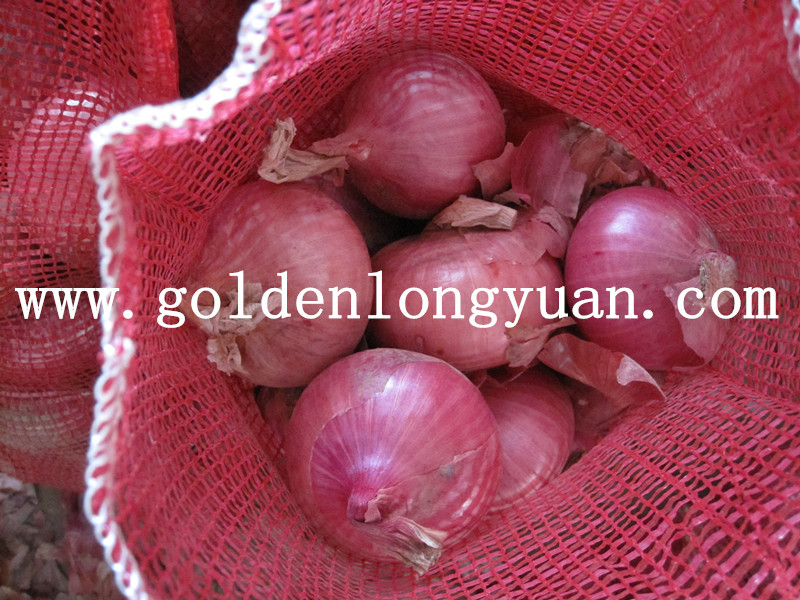 High Quality Fresh Red Onion From China