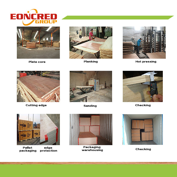 9mm 12mm 15mm 18mm Commercial Plywood for Furniture and Packing