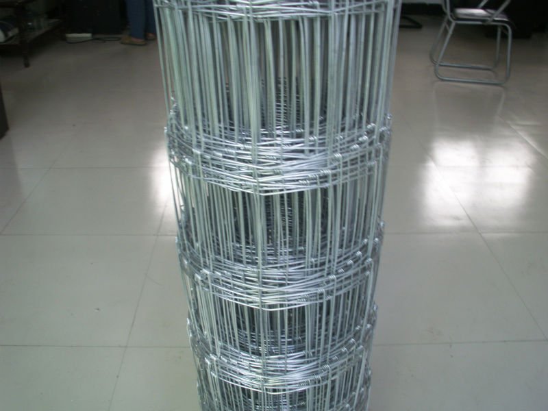 2.5/3.0mm High Quality Hot Dipped Galvanized Field Fence/Sheep Fence/Grassland Fence