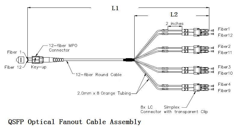 12-24 Cores MPO Hydra Cable Patchcord