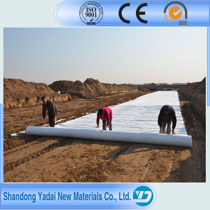 EVA/PVC/EPDM/LLDPE/HDPE Geomembrane Sewage Pool