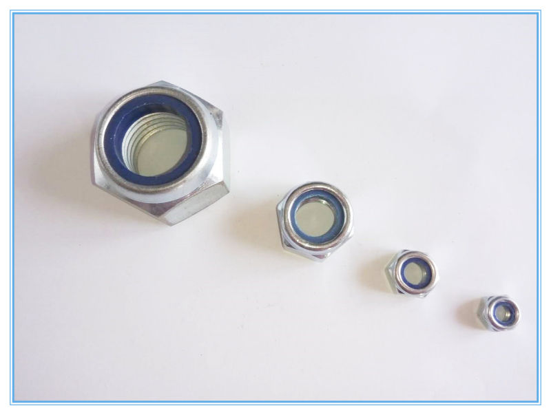 Stainless Steel Nylon Lock Nut for Induatry (DIN6924)