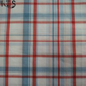 100% Cotton Poplin Woven Yarn Dyed Fabric for Shirts/Dress Rls40-47po