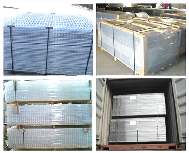 Welded Wire Mesh Roll and Piece