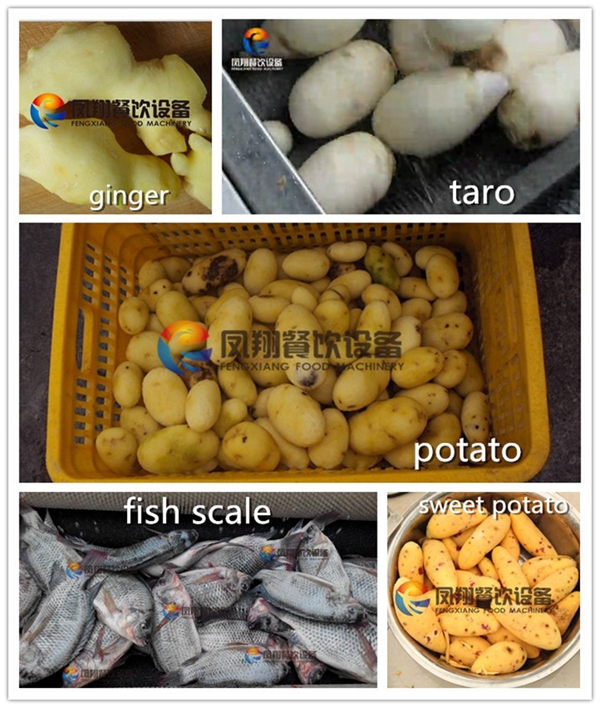 Industrial Commercial Automatic Potato Carrot Yam Vegetable Washer and Peeler