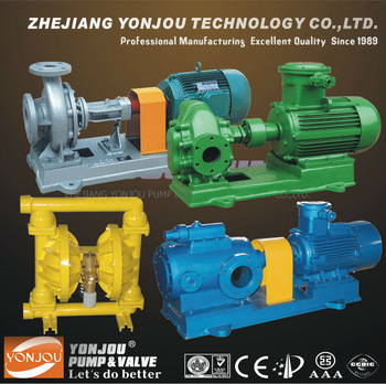 Lqry Heat Conductive Oil Pump (Heat Conduction Oil Pump)