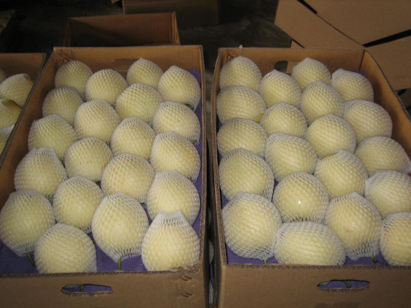 Chinese Golden Pear Good Quality and Price