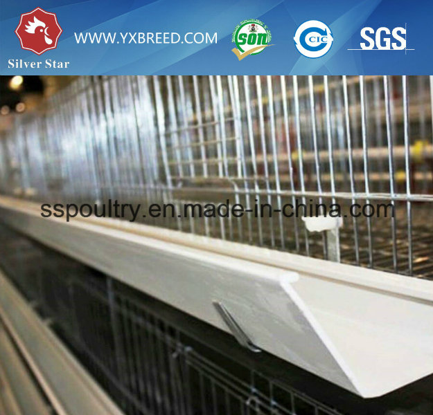 Best Selling and Good Price Lay Egg Chicken Cage