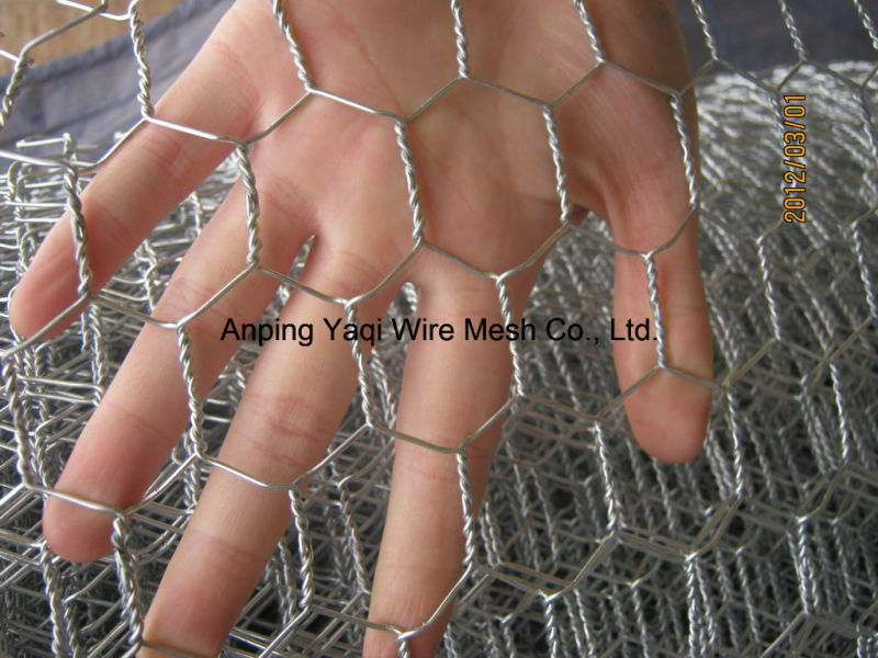PVC Green High Quality Hexagonal Chicken Net