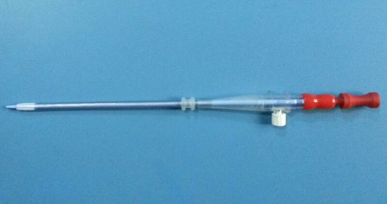 Femoral Insertion /Femoral Arch /Cardiac Cannula