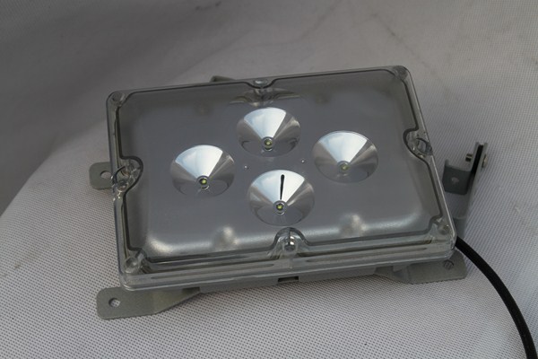 CREE LED Factory Light/Tunnel Floodlight Lamp (ZY8800)