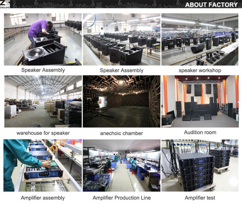 Professional Line Array System Processor