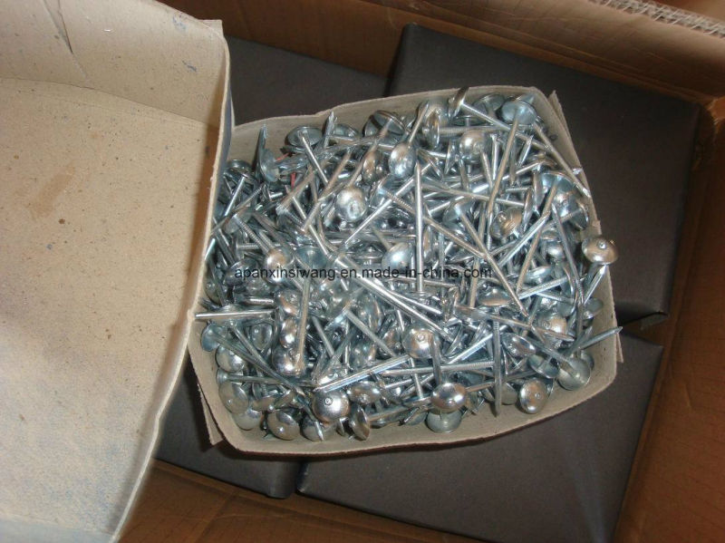 Galvanized Roofing Nails