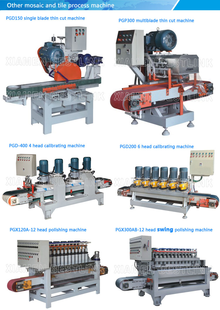 China Supplier Multi Blade Mosaic Cutting Machine for Tiles