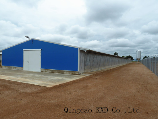 Prefabricated Poultry House/Chicken House (KXD-PCH5)