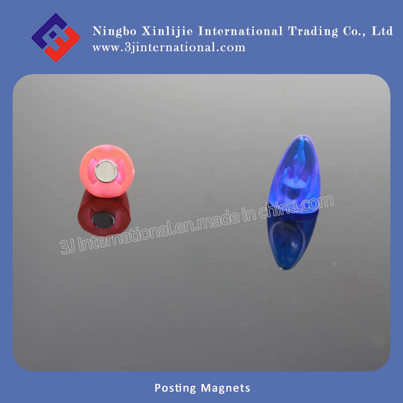 Plastic Magnetic Push Pin with NdFeB Magnet