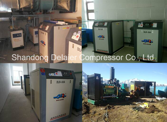 Dlr Energy Saving Rotary Screw Compressor Screw Air Compressor Dlr-25A