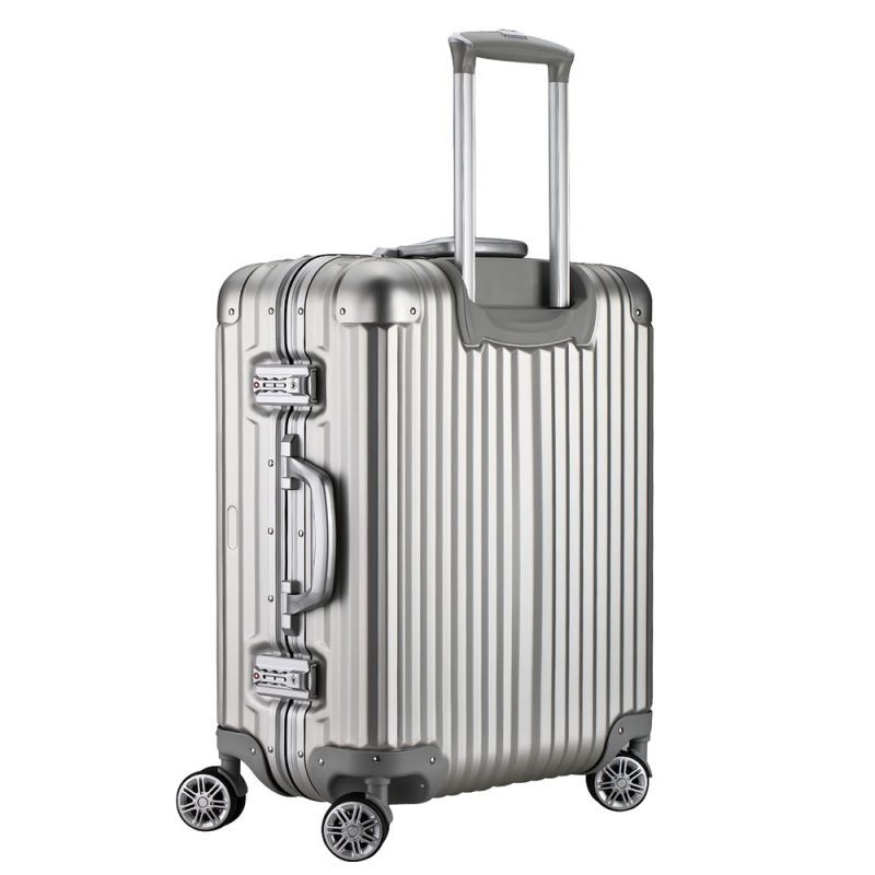 Aluminium Magnesium Alloy Professional Hard Case (Trec-3619)