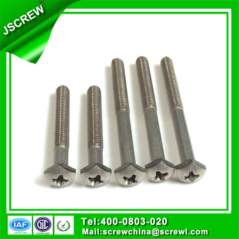 Screw Manufacture Produce Custom Design Special Screw Bolt