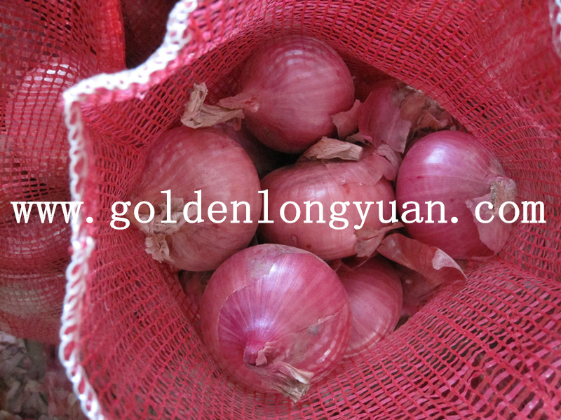 Fresh Red Onion From Factory