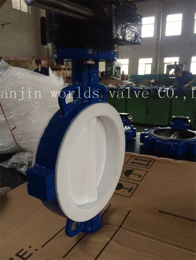 Full PTFE Coating Wafer Type Butterfly Valve with Ce ISO Wras Approved (CBF04-TA01)