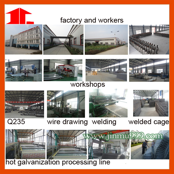 Poultry Equipment Automatic Chicken Cage