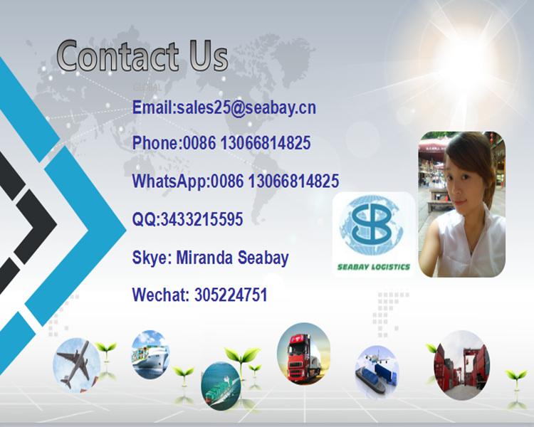 Shenzhen/Shanghai/Ningbo/Guangzhou/Tianjin/Qingdao Best Freight Forwarder to Germany