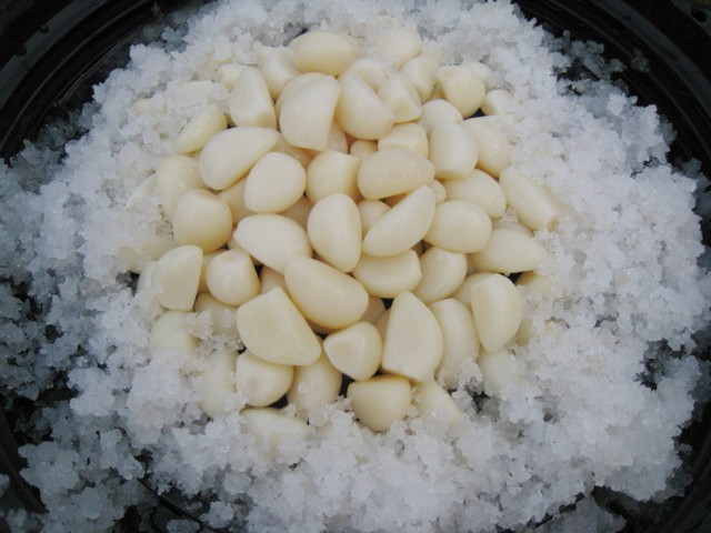 Top Quality Garlic in Brine 50kg Per Drum, All Sizes Are Available