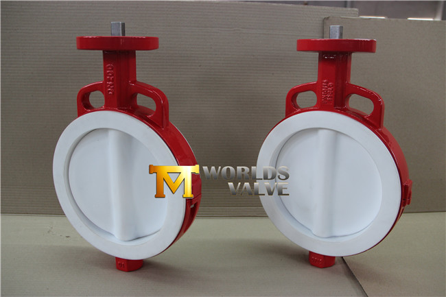 Full PTFE Coated Wafer Butterfly Valve with Bare Stem (CBF04-TA01)