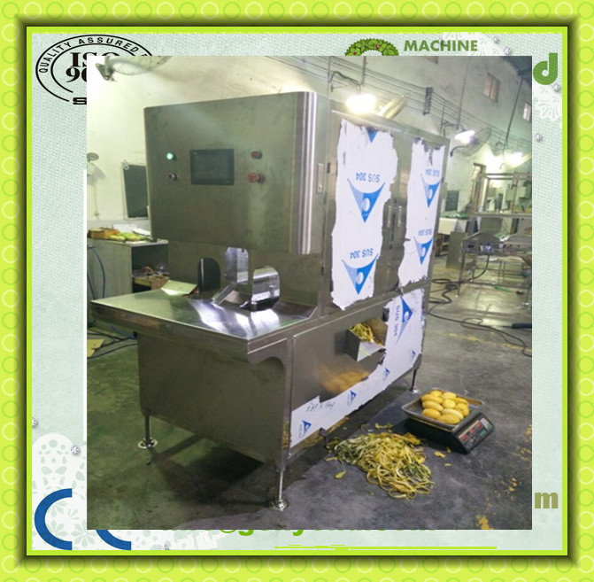 Full-Automatic Fruit Peeling Machine