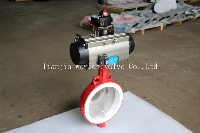 Split Body Wafer Type Butterfly Valve with Polishing Disc (CBF04-TA01)