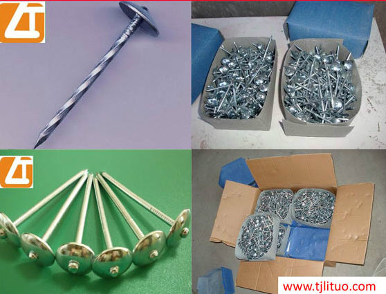 Manufacturer Galvanized Umbrella Roofing Nails