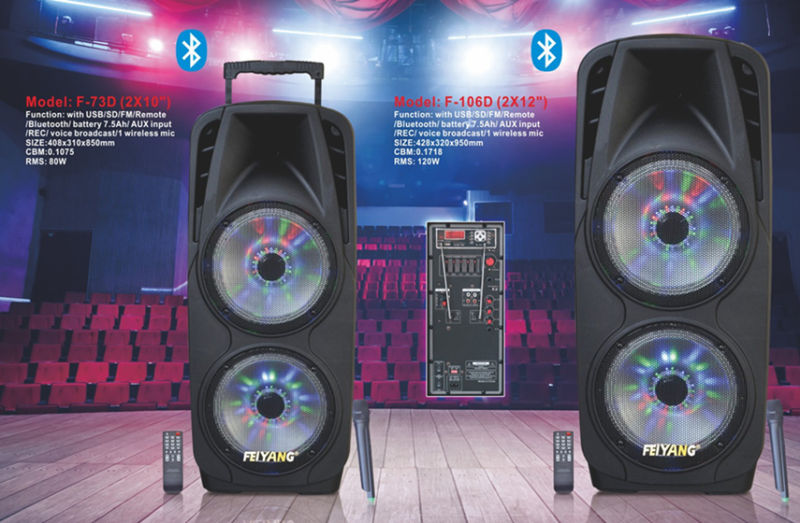 Professional Double 10inche Big Power Recharged Bluetooth Loudspeaker for Stage Party Karaoke 80W F73D