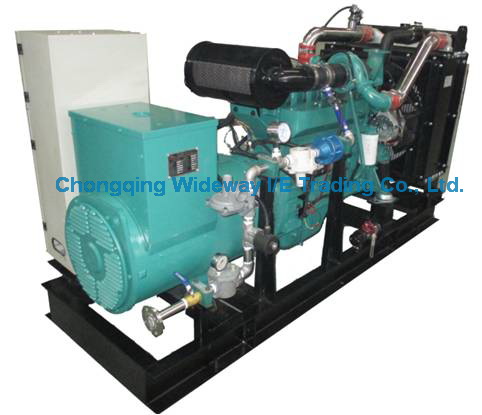 Lyk19g250kw High Quality Eapp Gas Generator Set