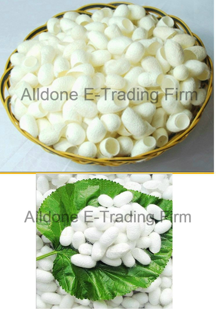 Skin Whitening Eco-Friendly Fresh Natural Silk Beauty Cocoons