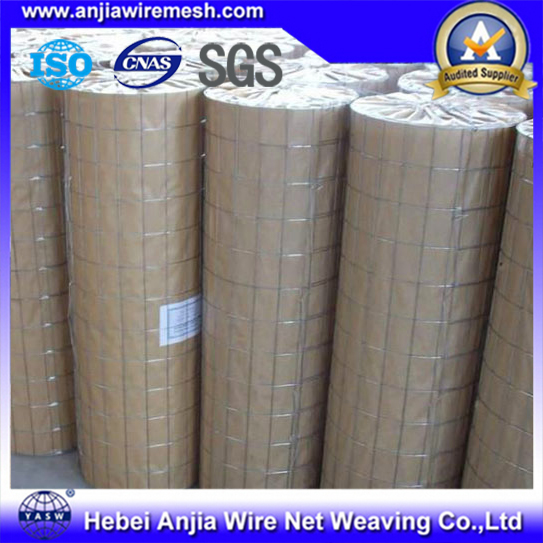 Low Price Electro Galvanized Welded Wire Mesh with (CE and SGS)