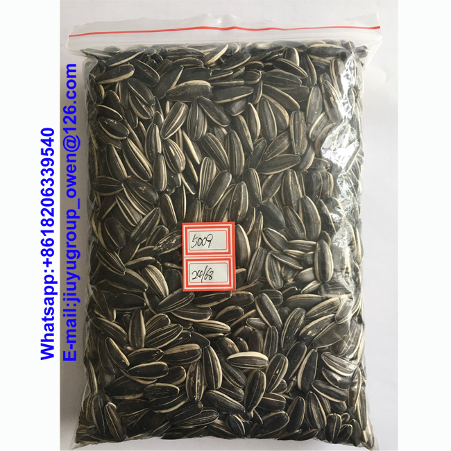 Vitamin Food Grade Sunflower Seeds 24/68