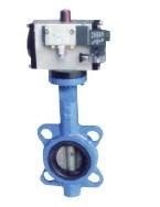 Wafer Type Butterfly Valve (D671X)