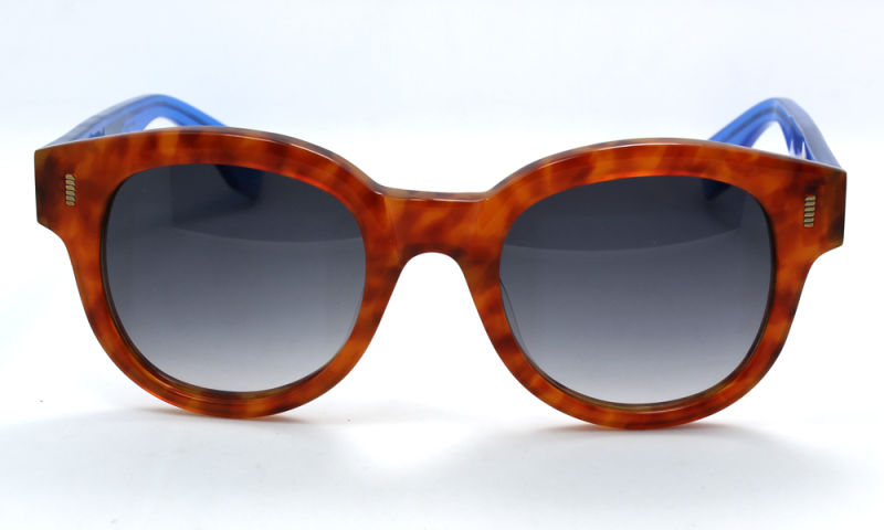 The Hight Quality Sunglasses (C0123)
