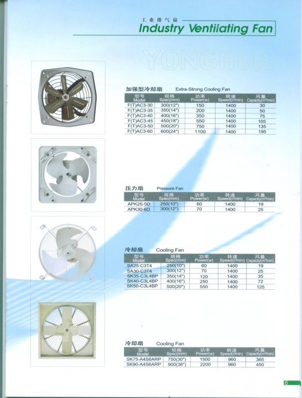 Electric Fan/Metal Fan