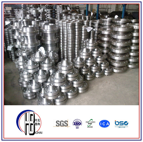 Stainless Lap Joint Flange En Standard