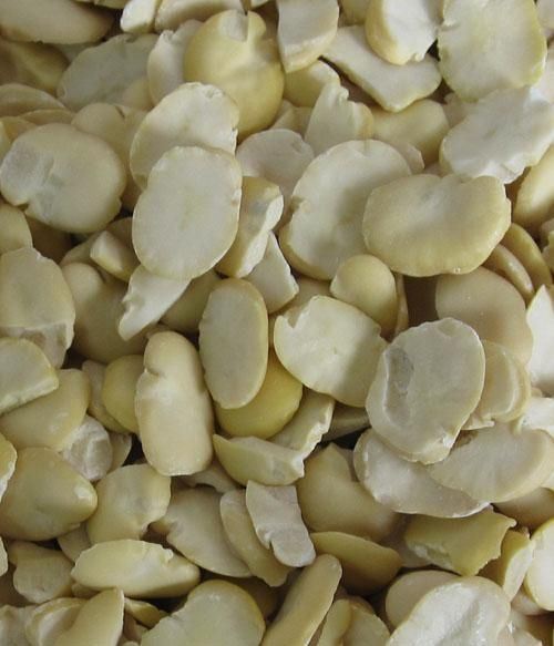 Peeled Broad Beans Split 2017 Crop