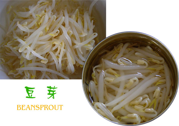 Delicious 314ml Canned Bean Sprout with Top Quality