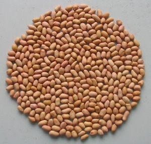 2015 New Crop Red Skin Peanut Kernels