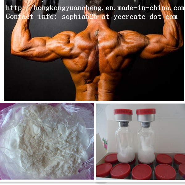 Steroids Testosterone Phenylproprionate CAS 1255-49-8 Testolent for Male Enhancement