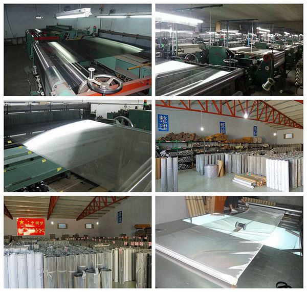 China Best Price Stainless Steel Wire Mesh Screen (SSWMS)