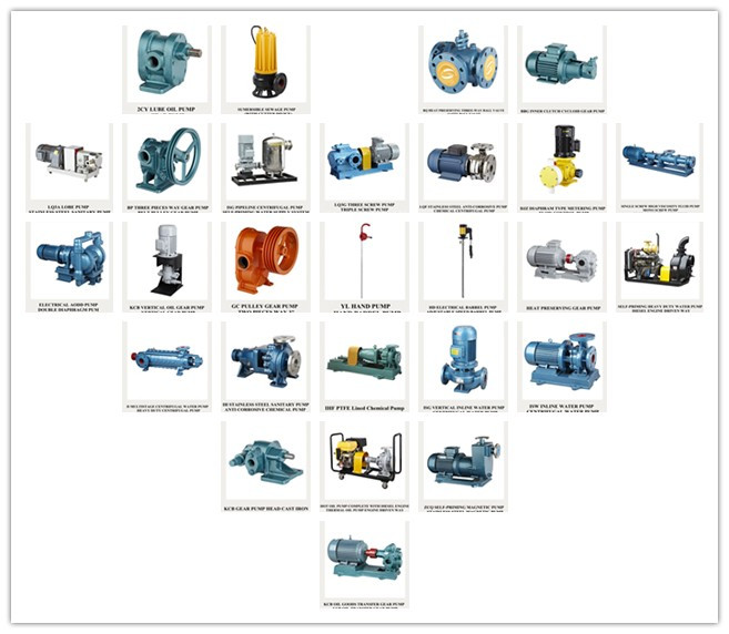 Hot Oil Pump (LQRY)