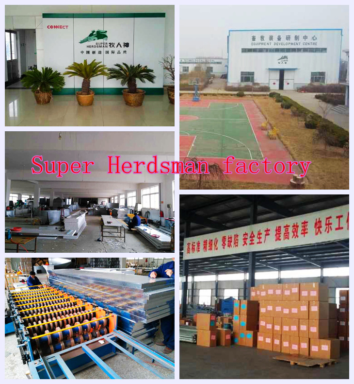 Automatic Broiler Machinery in Poultry Farming House with Low Price